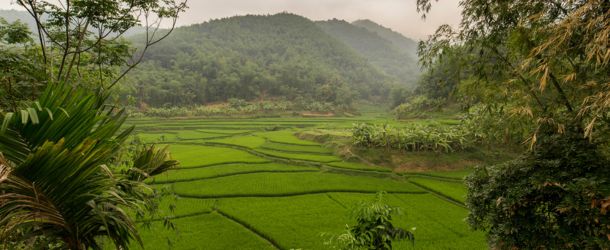 Pu-Luong-Nature-Reserve_1